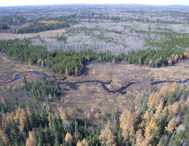 PolyMet mine site